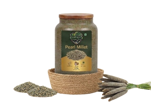 Pearl Millet (సజ్జలు)