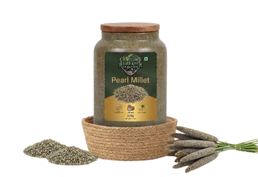 Pearl Millet (సజ్జలు)