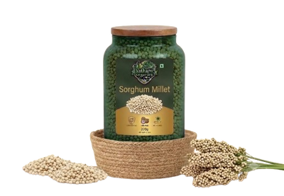 Sorghum (జొన్నలు)