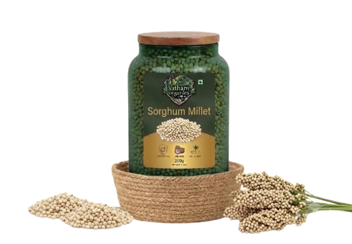 Sorghum (జొన్నలు)