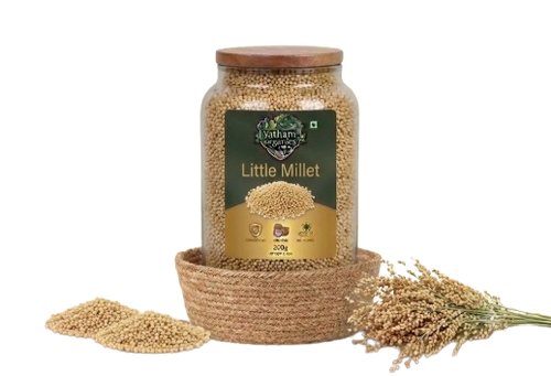 Little Millet (సామలు)