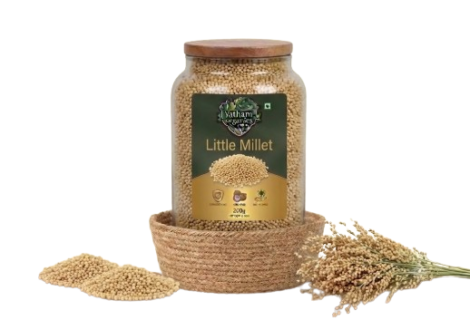 Little Millet (సామలు)