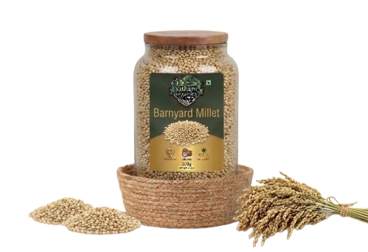 Barnyard Millet (ఉడలు)