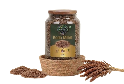 Proso Millet (వరిగలు)