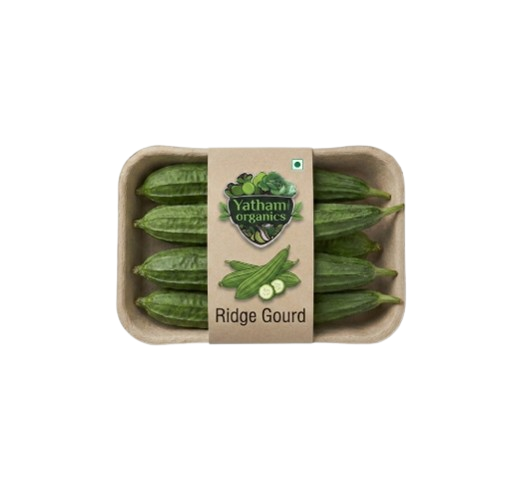 Ridge Gourd