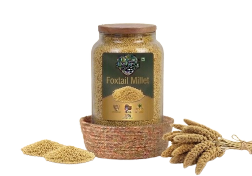 Foxtail Millet (కొర్రలు)