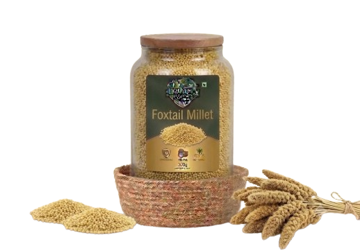Foxtail Millet (కొర్రలు)