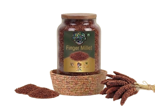 Finger Millet (రాగులు)