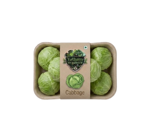 Cabbage