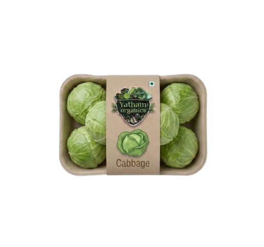 Cabbage